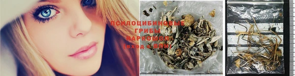 СК Мегион
