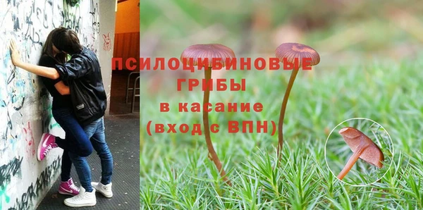 героин Михайлов