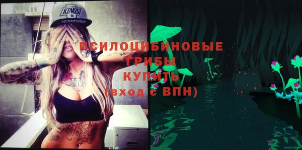 прущий лед Михайловка